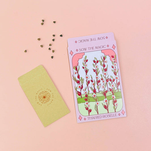 Thai Red Roselle Hibiscus Tarot  Seed Packet